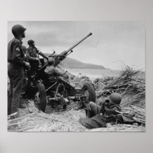 Póster Arma de Bofors AA