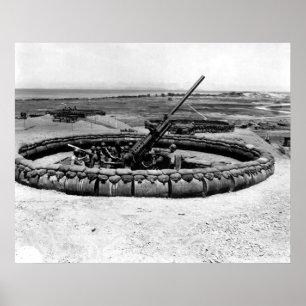 Póster Arma del AA en Okinawa