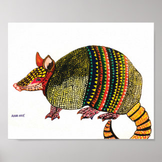Póster Armadillo