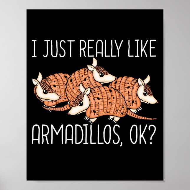Póster Armadillo Lover Regalo de animales salvajes Armadi (Frente)