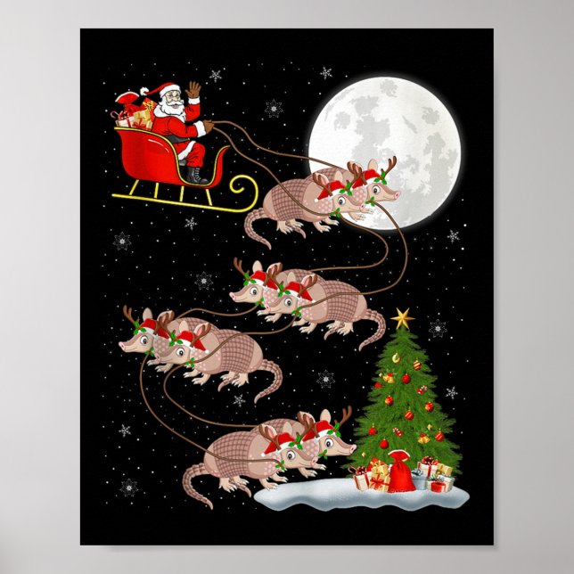 Póster Armadillo Santa Sleigh Flying Funny Magical Christ (Frente)
