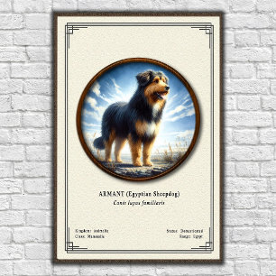 Póster Armant (Perro de pastor egipcio) Serie de Zoología