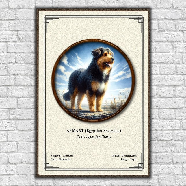 Póster Armant (Perro de pastor egipcio) Serie de Zoología (Subido por el creador)