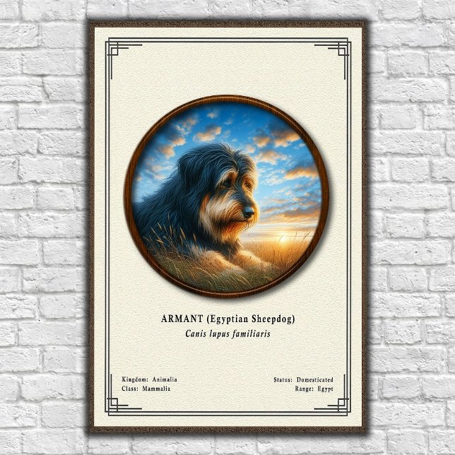 Póster Armant (Perro Pastor Egipcio) Serie de Zoología (Subido por el creador)