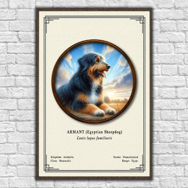 Póster Armant (Perro Pastor Egipcio) Serie de Zoología (Subido por el creador)