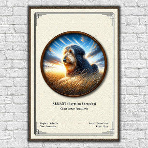 Póster Armant (Perro pastor egipcio) Serie de Zoología