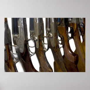 Póster armas de caza