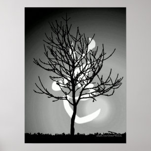 Póster Armonía del 道 pacífico de la resplandor/de Tao