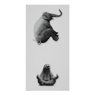 Póster Armonía entre elefante y perezoso meditando