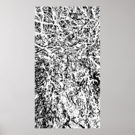 Póster Armonía Primal