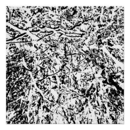 Póster Armonía Primal