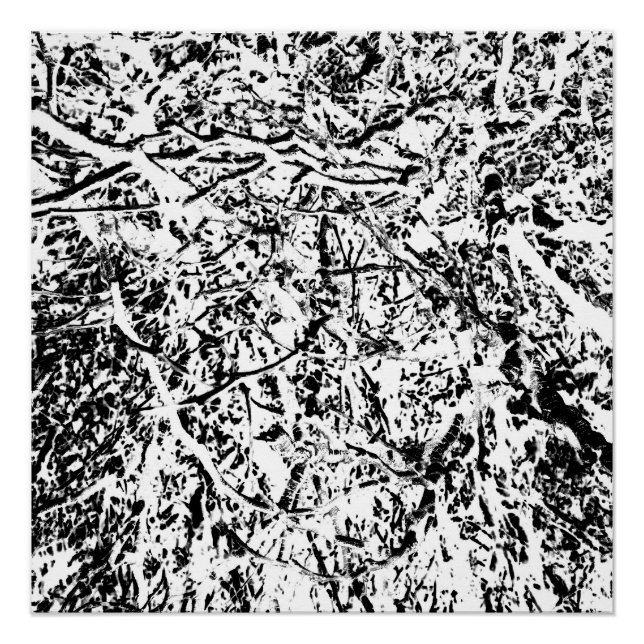 Póster Armonía Primal (Anverso)