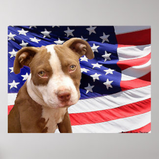 Póster Aroma de Pitbull