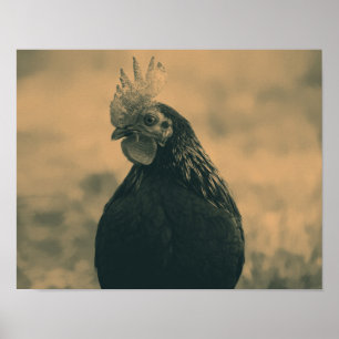 Póster Aroma en Sepia