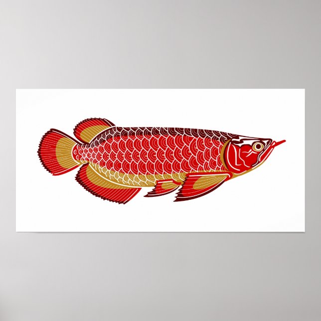 Póster arowana poster (Frente)