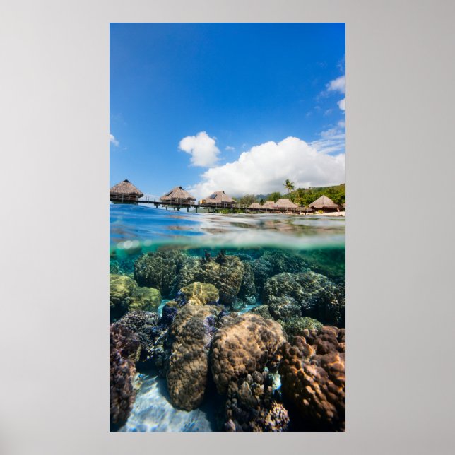 Póster Arrecife de coral y resort tropical (Frente)