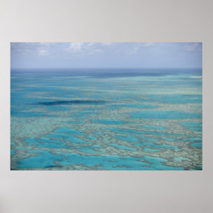 Póster Arrecife tropical, Gran Barrera de Coral, Queensla