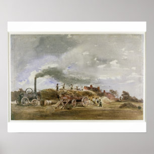 Póster Arrojadura de maíz (lápiz y con c sobre papel)