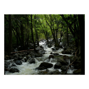 Póster Arroyo Bridalveil en el Parque Nacional Yosemite