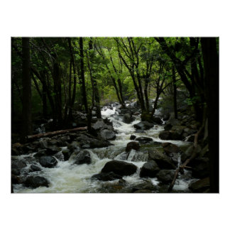 Póster Arroyo Bridalveil en el Parque Nacional Yosemite