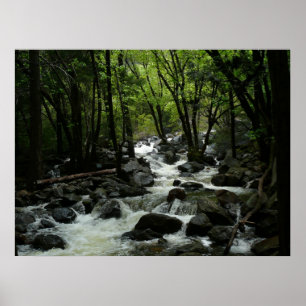 Póster Arroyo Bridalveil en el Parque Nacional Yosemite