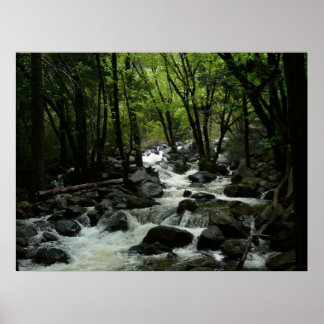 Póster Arroyo Bridalveil en el Parque Nacional Yosemite
