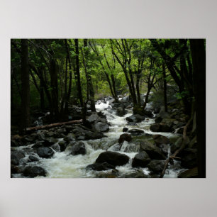 Póster Arroyo Bridalveil en el Parque Nacional Yosemite