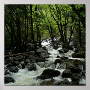 Póster Arroyo Bridalveil en el Parque Nacional Yosemite