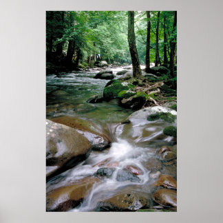 Póster Arroyo de montaña