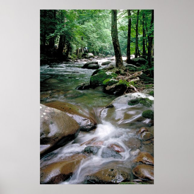 Póster Arroyo de montaña (Frente)
