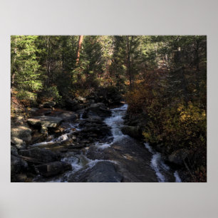 Póster Arroyo del bosque