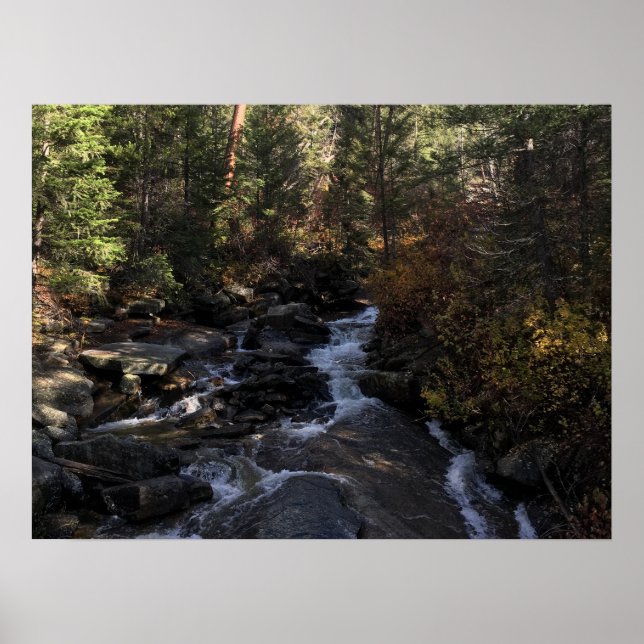 Póster Arroyo del bosque  (Frente)