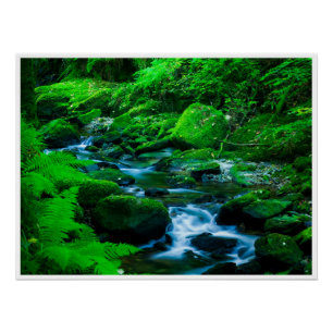 Póster Arroyo del Bosque Musgoso en el Parque Nacional de