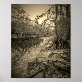 Póster "Arroyo del Sur de Florida"