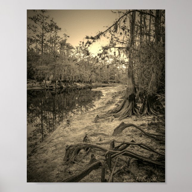 Póster "Arroyo del Sur de Florida"  (Frente)