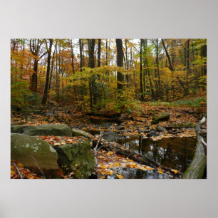 Póster Arroyo Fall con reflejo en Laurel Hill Park