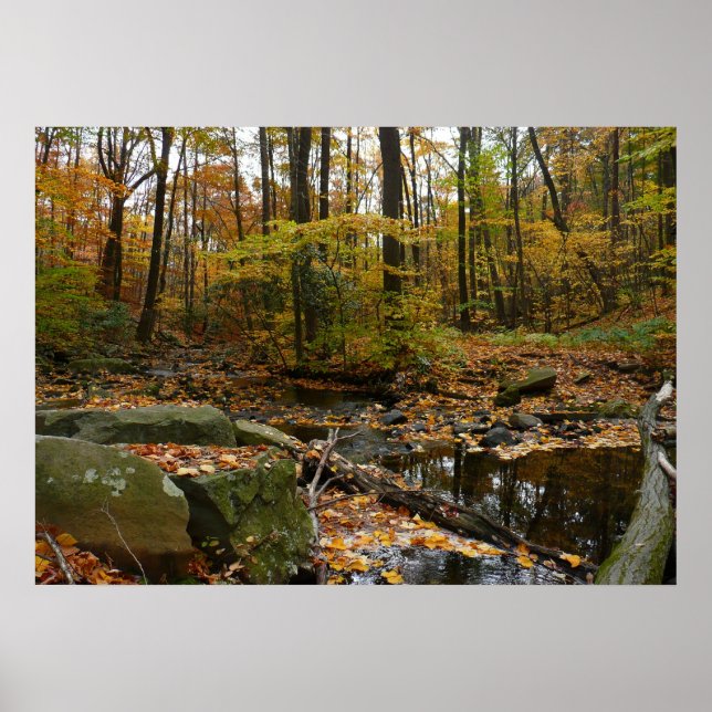 Póster Arroyo Fall con reflejo en Laurel Hill Park (Frente)