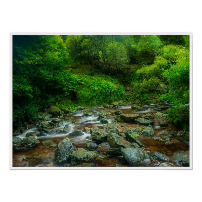 Póster Arroyo forestal en exuberante bosque (río Dargle) (Anverso)
