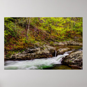 Póster Arroyo forestal en Grandes Montañas Humeantes