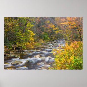 Póster Arroyo Rugiente en otoño en el Green de Vermont