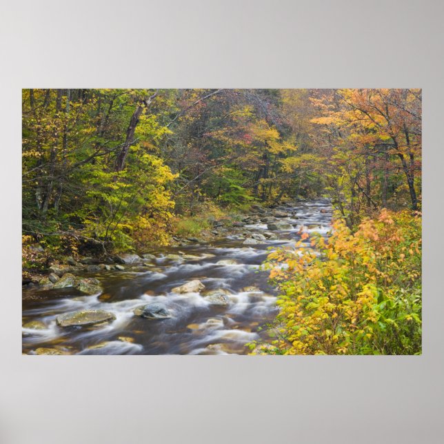 Póster Arroyo Rugiente en otoño en el Green de Vermont (Frente)