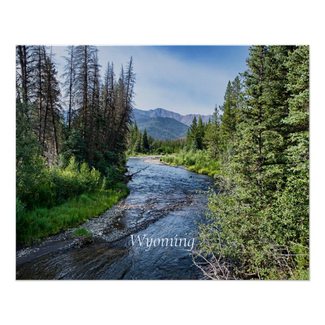 Póster Arroyo Wyoming (etiquetado) (Anverso)