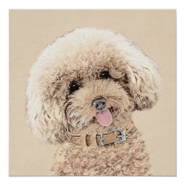 Póster Arroz de juguete en miniatura de perro crema marró (Anverso)