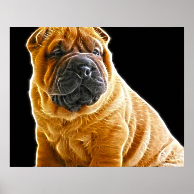 Póster Arrugas, el perro cómico chino Shar Pei (Frente)