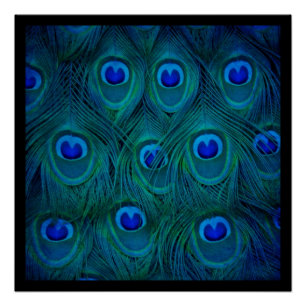 Póster Art Deco Feather Verde azulado Verde Peacock