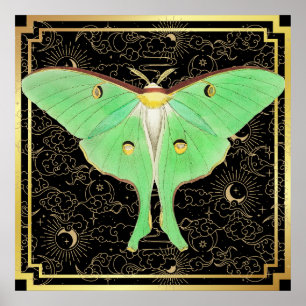 Póster Art Deco Luna Moth