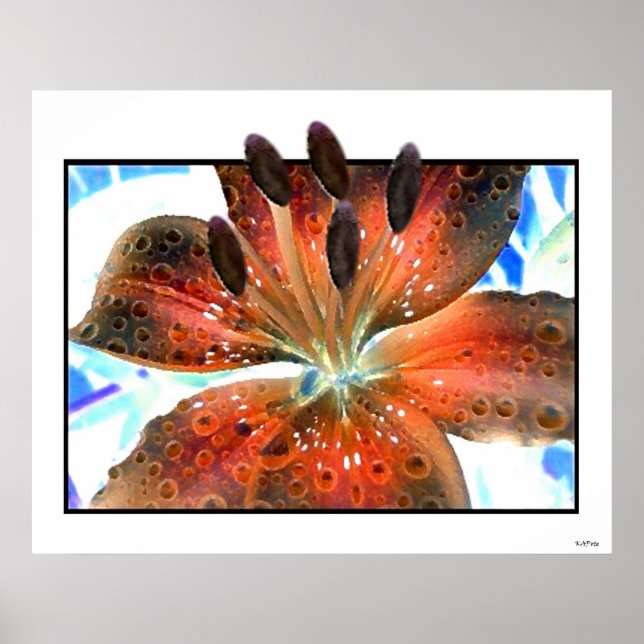 Póster Art Lilie 3D (Frente)