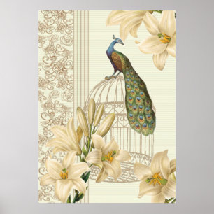 Póster art nouveau french lily vintage bircage peacock