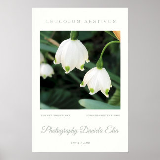 Póster Art Print - „Summer Snowflake“