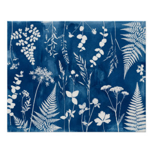 Póster Arte botánico de helecho en cianotipia azul añil p